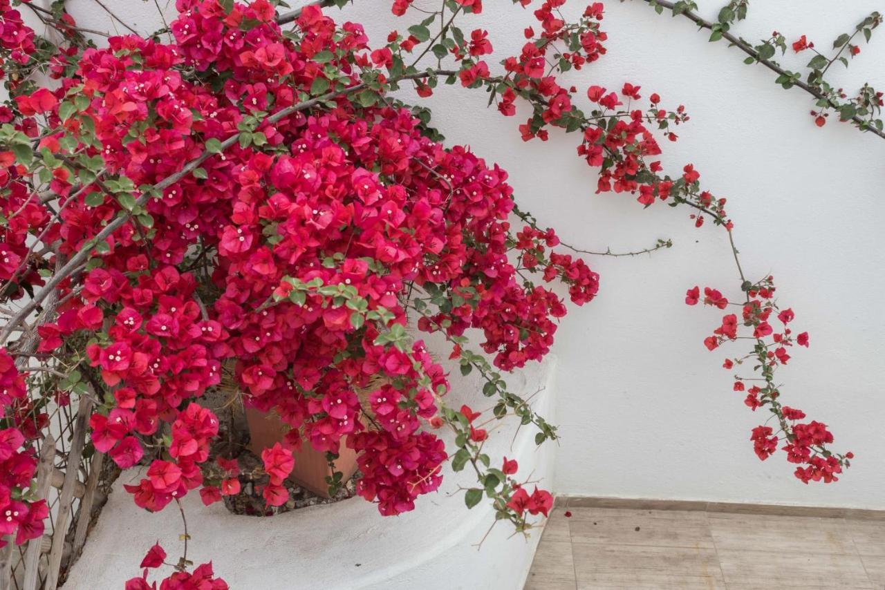 Depis Apartments & Suites Naxos City Exterior foto
